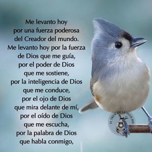 Meet your Posher, Margarita